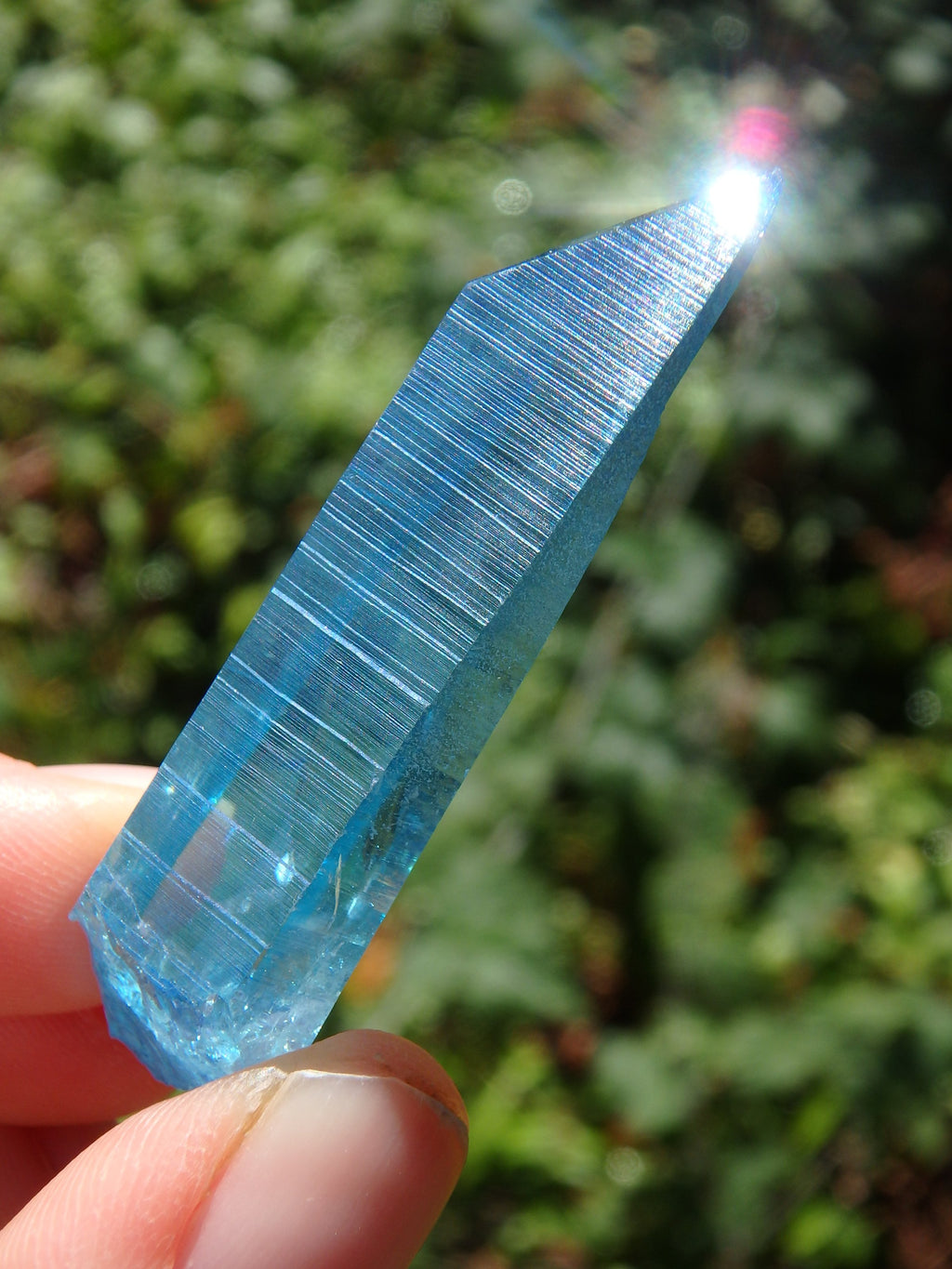 Stunning Blue Brilliance~Aqua Aura Colombian Lemurian Quartz Point 2 - Earth Family Crystals