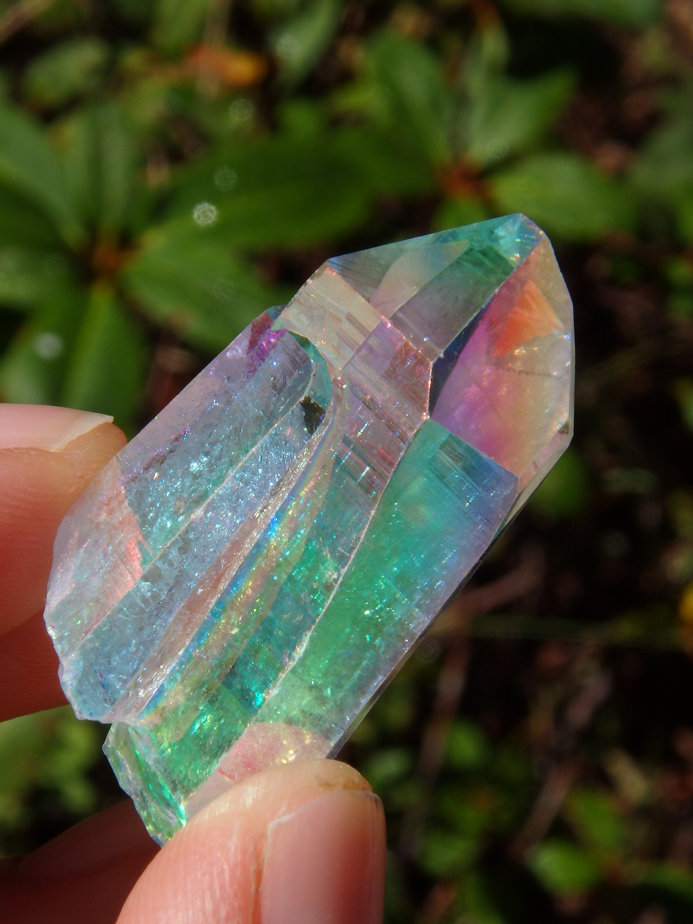 Extreme Brilliance~Angel Aura Colombian Lemurian Quartz Point 3 - Earth Family Crystals