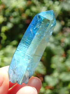 Stunning Blue Brilliance~Aqua Aura Colombian Lemurian Quartz Point 1 - Earth Family Crystals