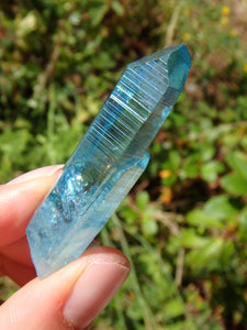 Stunning Blue Brilliance~Aqua Aura Colombian Lemurian Quartz Point 4 - Earth Family Crystals