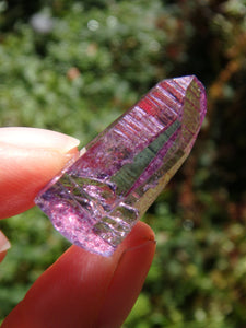 Adorable Dainty Rose Aura Colombian Lemurian Quartz Point 2 - Earth Family Crystals