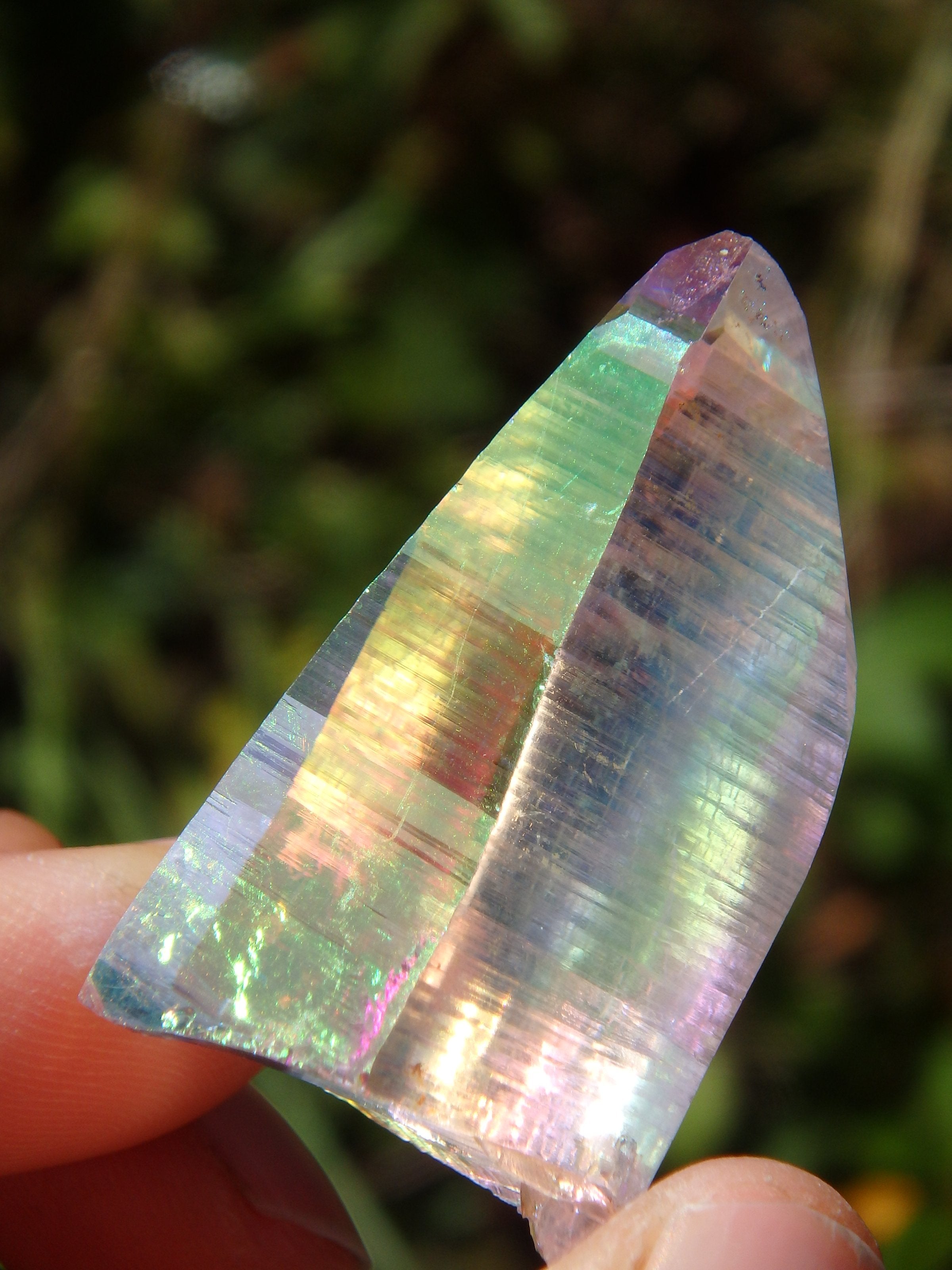 Extreme Brilliance~Angel Aura Colombian Lemurian Quartz Point 2 - Earth Family Crystals