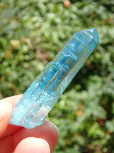 Stunning Blue Brilliance~Aqua Aura Colombian Lemurian Quartz Point 4 - Earth Family Crystals