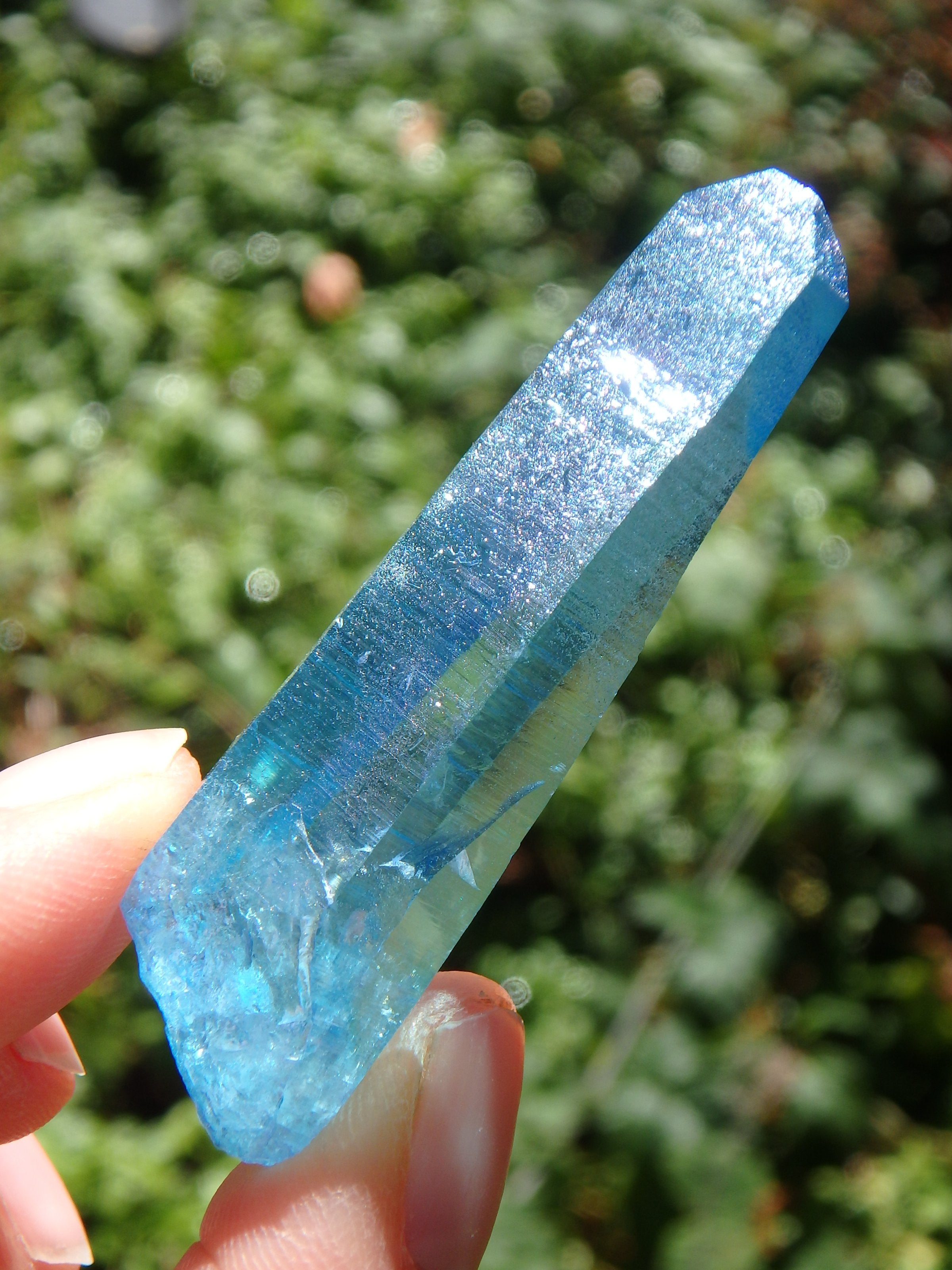 Stunning Blue Brilliance~Aqua Aura Colombian Lemurian Quartz Point 2 - Earth Family Crystals