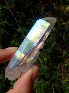 Beautiful Rainbows~Angel Aura Colombian Lemurian Quartz Point With Babies - Earth Family Crystals