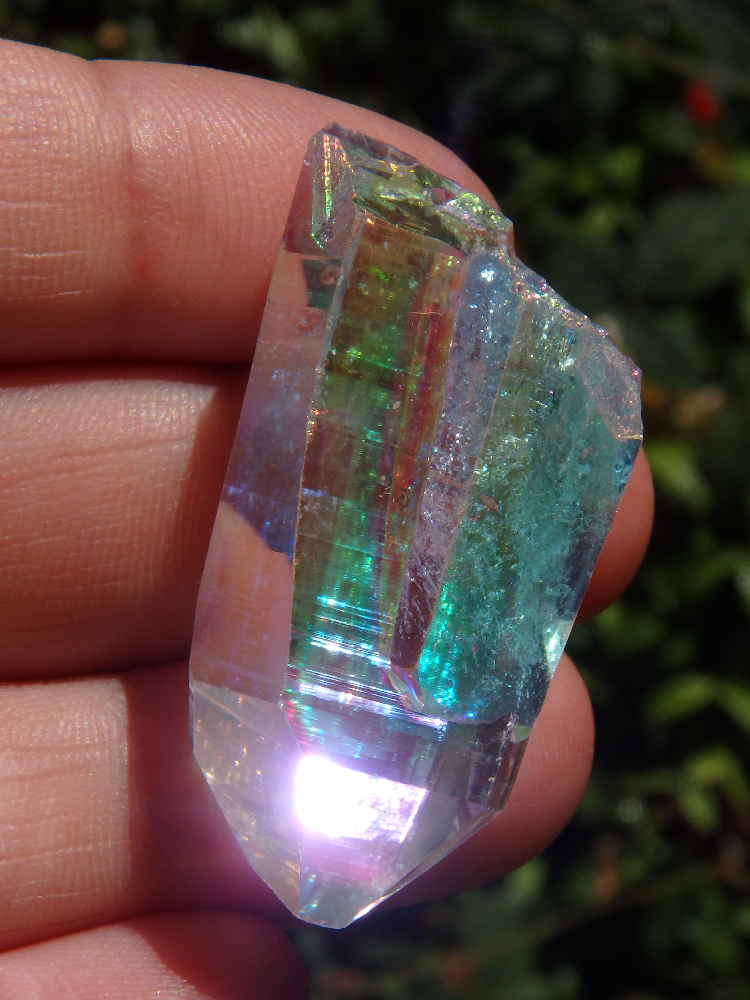 Extreme Brilliance~Angel Aura Colombian Lemurian Quartz Point 3 - Earth Family Crystals