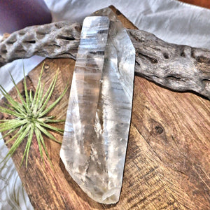 Gorgeous Etching & High Vibes Large Lemurian Quartz Point From Brazil 1 - Earth Family Crystals
