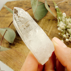 High Vibe Handheld Lemurian Seed Quartz Point With Natural Barcode Etching From Brazil #1