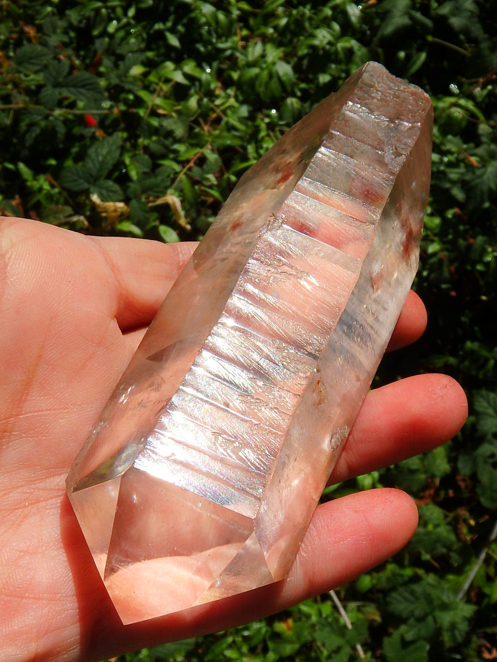 Golden Healer Large Lemurian Seed Quartz Point With Deep Etching From Brazil - Earth Family Crystals