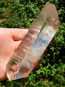 Golden Healer Large Lemurian Seed Quartz Point With Deep Etching From Brazil - Earth Family Crystals