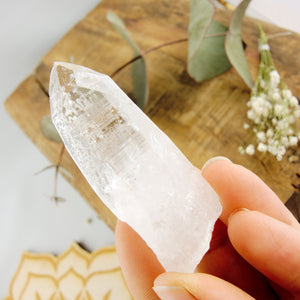 High Vibe Handheld Lemurian Seed Quartz Point With Natural Barcode Etching From Brazil #1