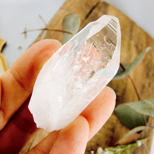 High Vibe Handheld Lemurian Seed Quartz Point With Natural Barcode Etching From Brazil #2