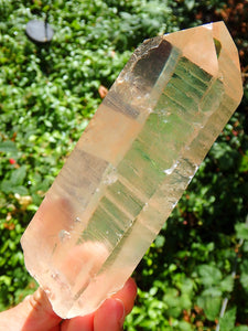 Golden Healer Large Lemurian Seed Quartz Point With Deep Etching From Brazil - Earth Family Crystals