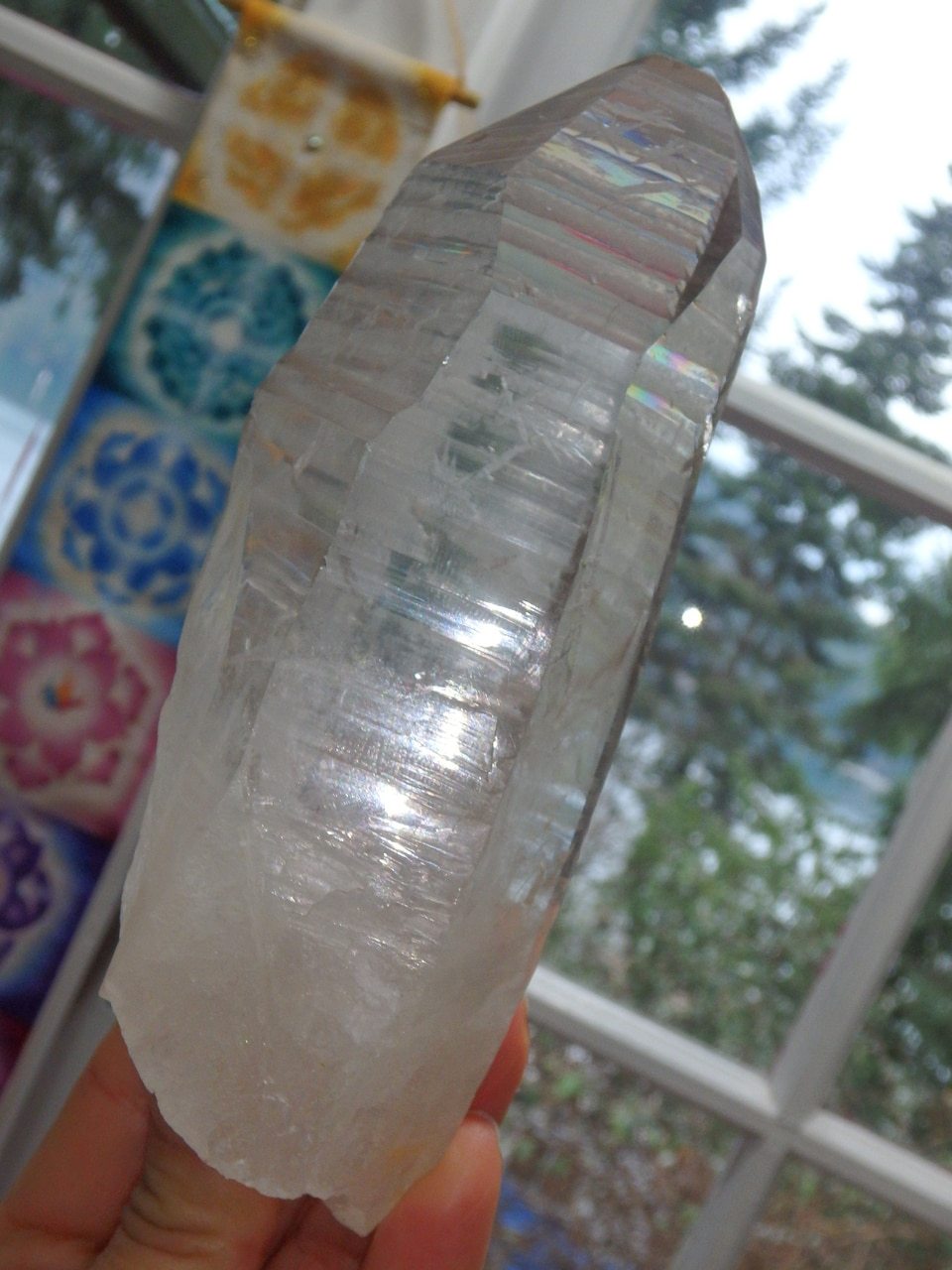 Extreme Brilliance~Large Lemurian Quartz Point From Brazil - Earth Family Crystals