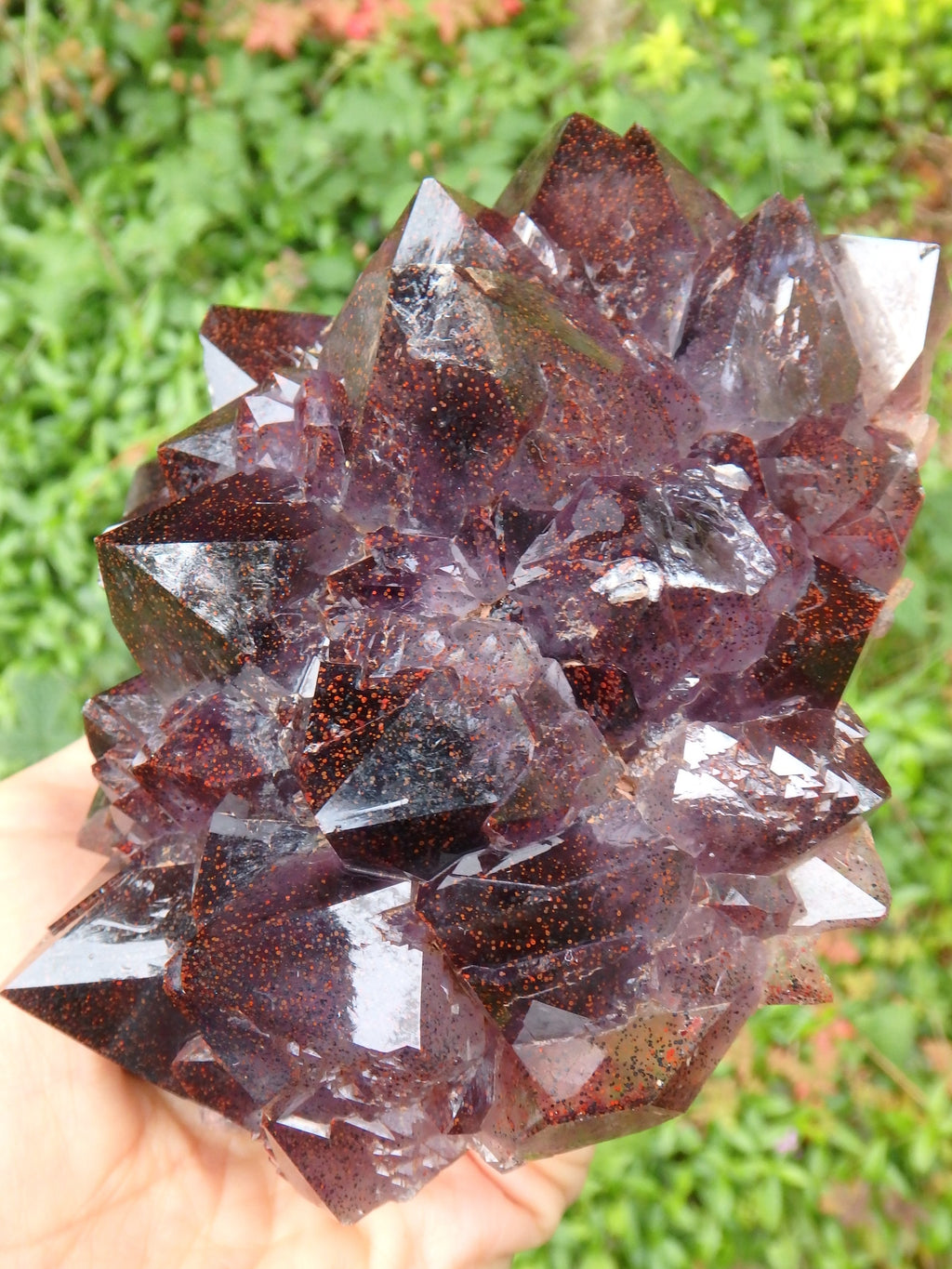Extreme Brilliance~Large Smoky Amethyst Flower Elestial Cluster With Lepidocrosite Inclusions From Ontario, Canada - Earth Family Crystals