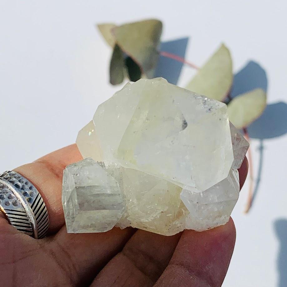 Gemmy Green & Clear Apophyllite Cluster from India #8 - Earth Family Crystals