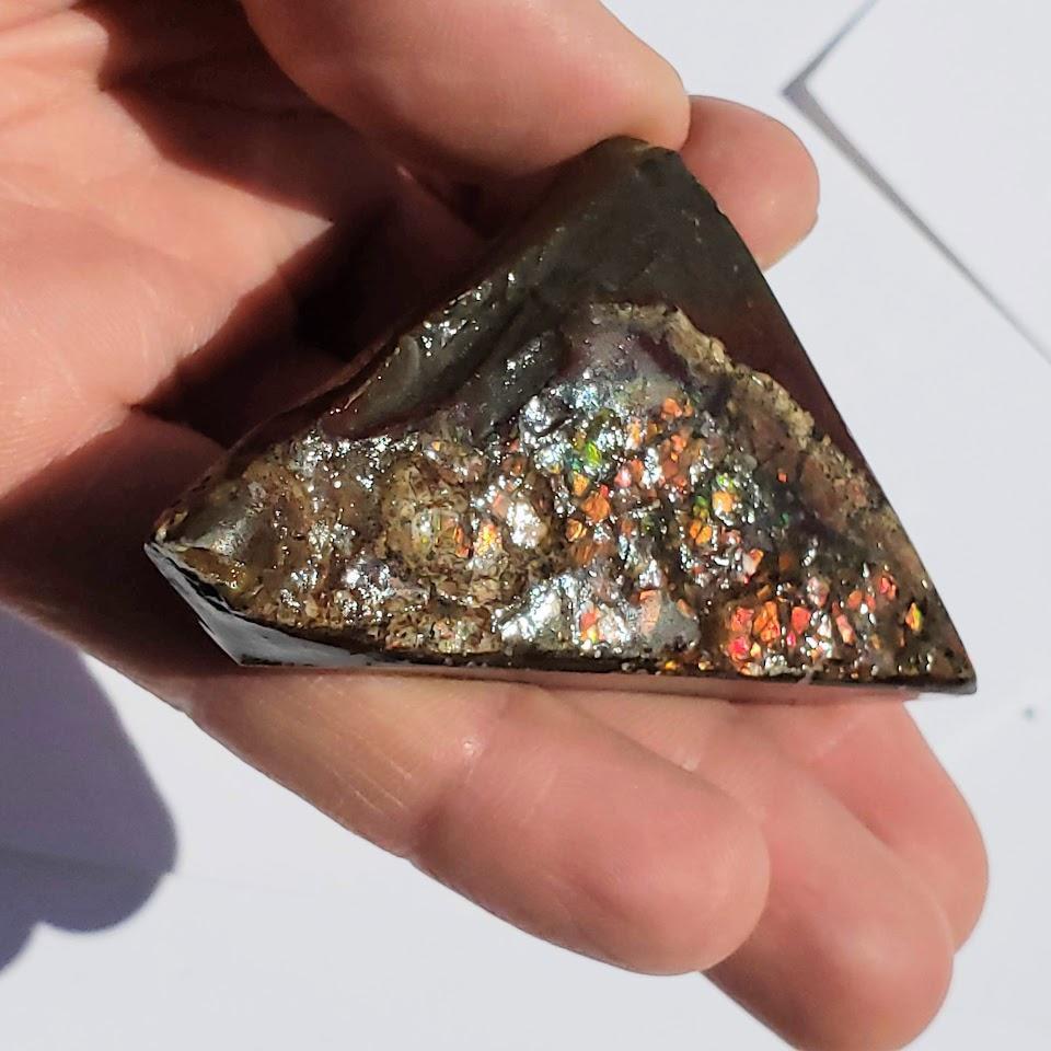 Chunky Alberta Ammolite Fossil Free Form Hand Held Specimen #1 - Earth Family Crystals
