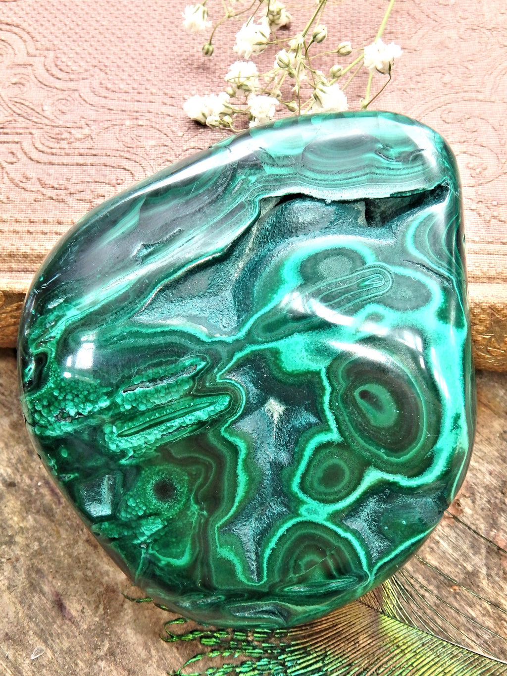 Gorgeous Bulls Eye Patterns Partially Polished Malachite Specimen 1 - Earth Family Crystals