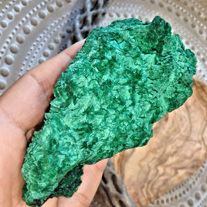 Secret Garden Fibrous Green Raw Malachite Display Specimen