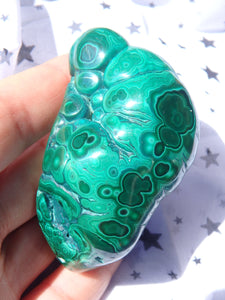 Stunning Green Patterns Caterpillar Shape Malachite Partially Polished Specimen - Earth Family Crystals