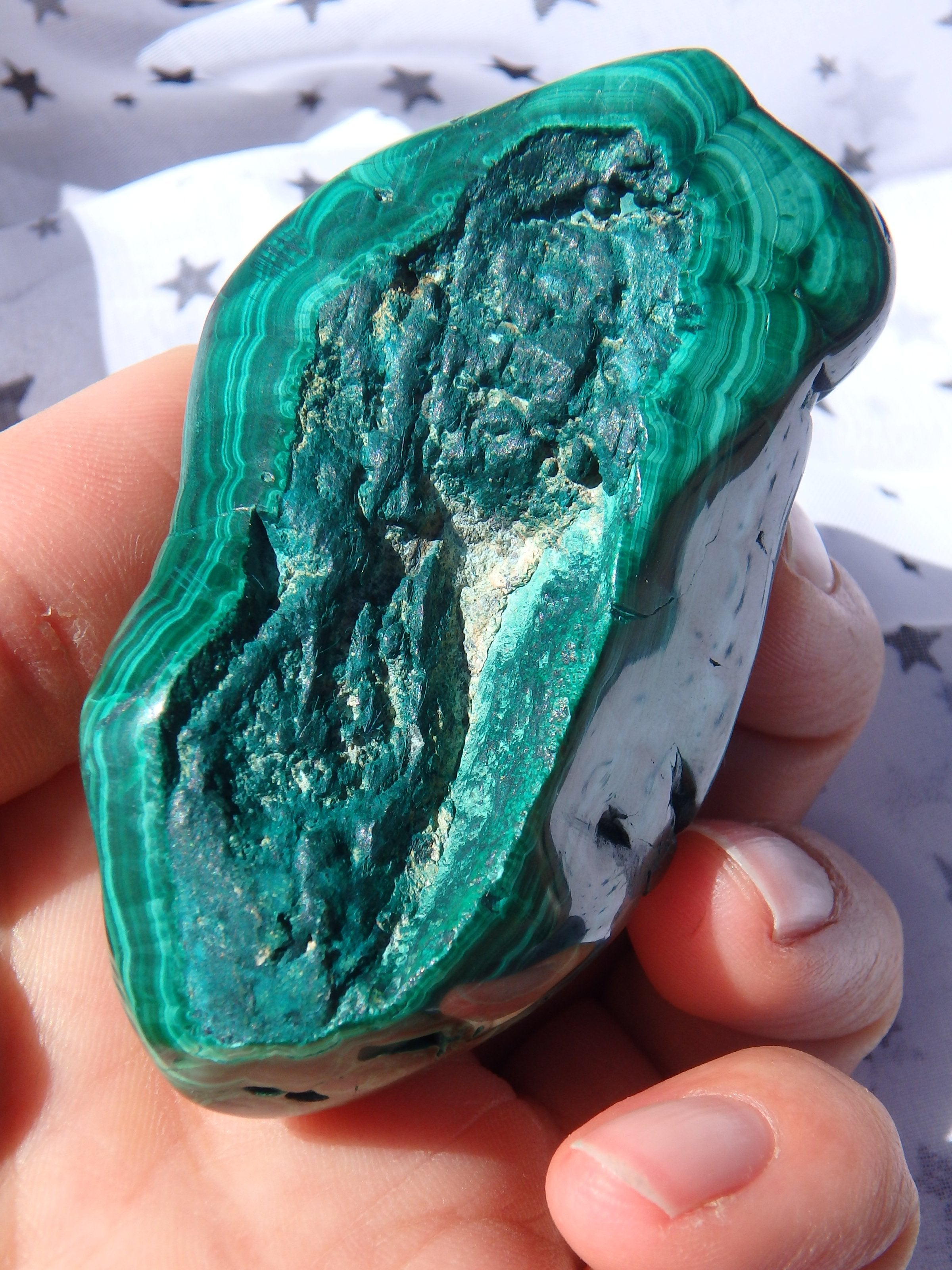 Stunning Green Patterns Caterpillar Shape Malachite Partially Polished Specimen - Earth Family Crystals