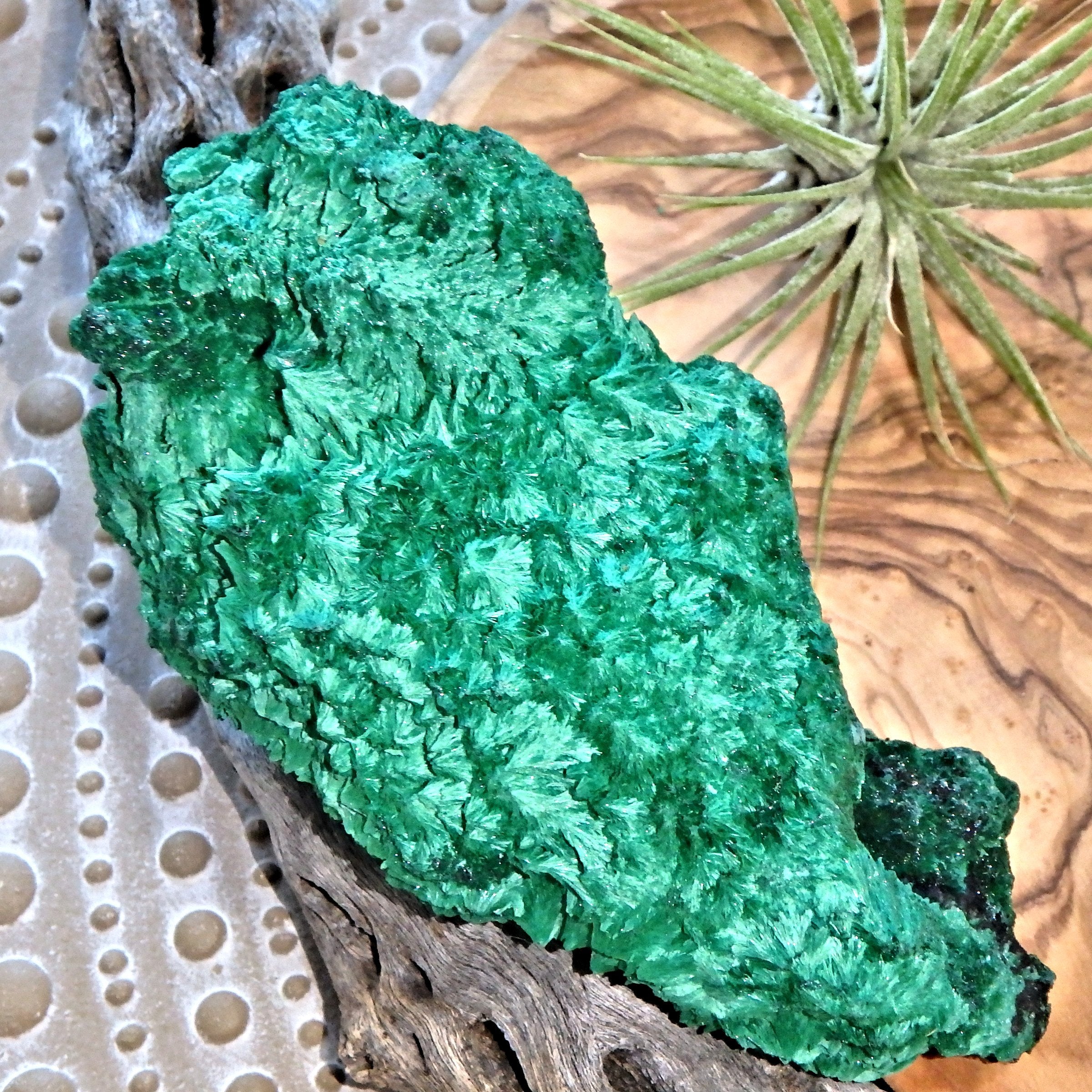 Secret Garden Fibrous Green Raw Malachite Display Specimen