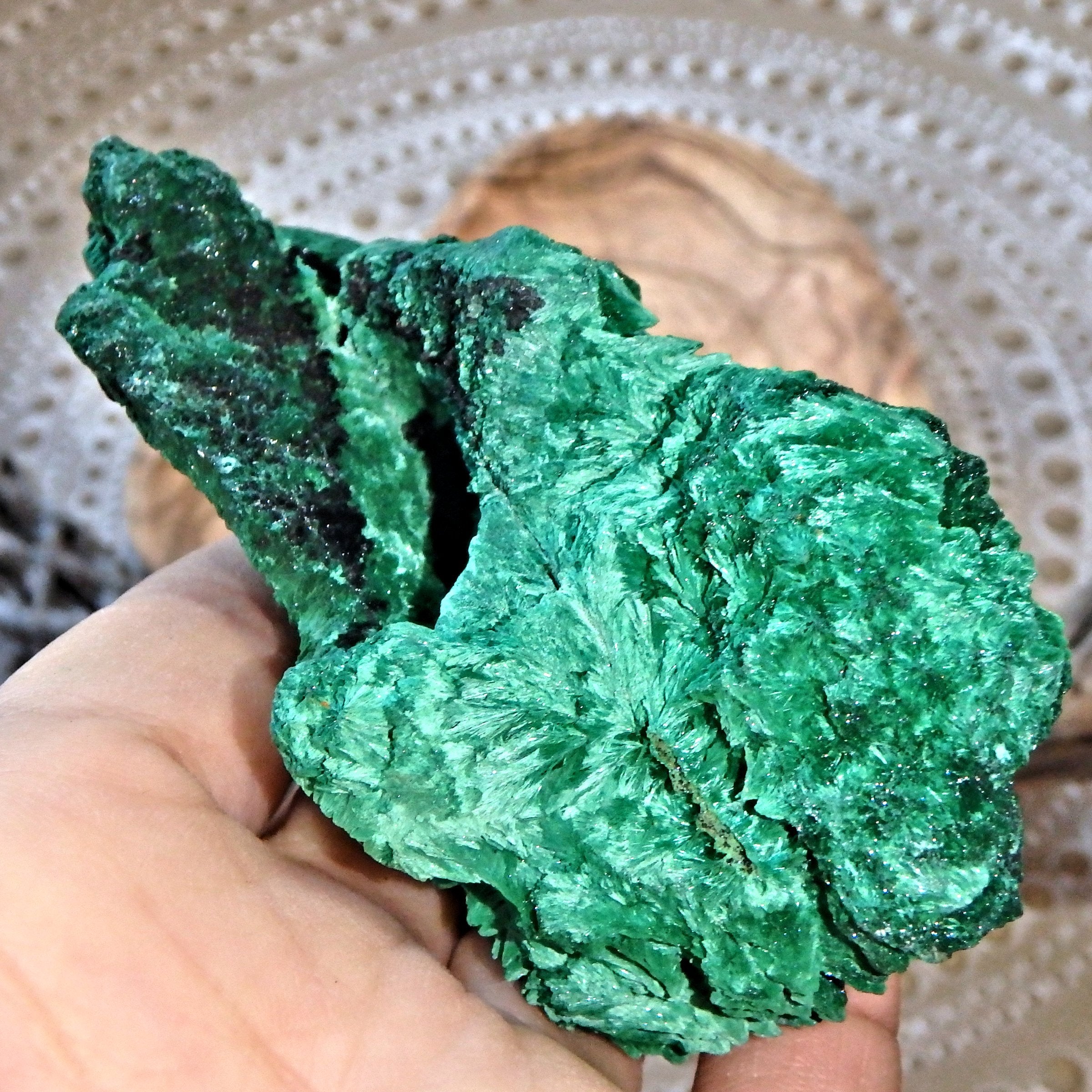 Secret Garden Fibrous Green Raw Malachite Display Specimen