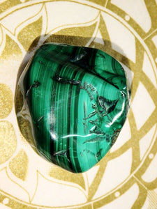 Deep Green Shiny Malachite Free Form Specimen - Earth Family Crystals