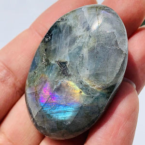 Pretty Purple Flashes Labradorite Palm Stone from Madagascar - Earth Family Crystals