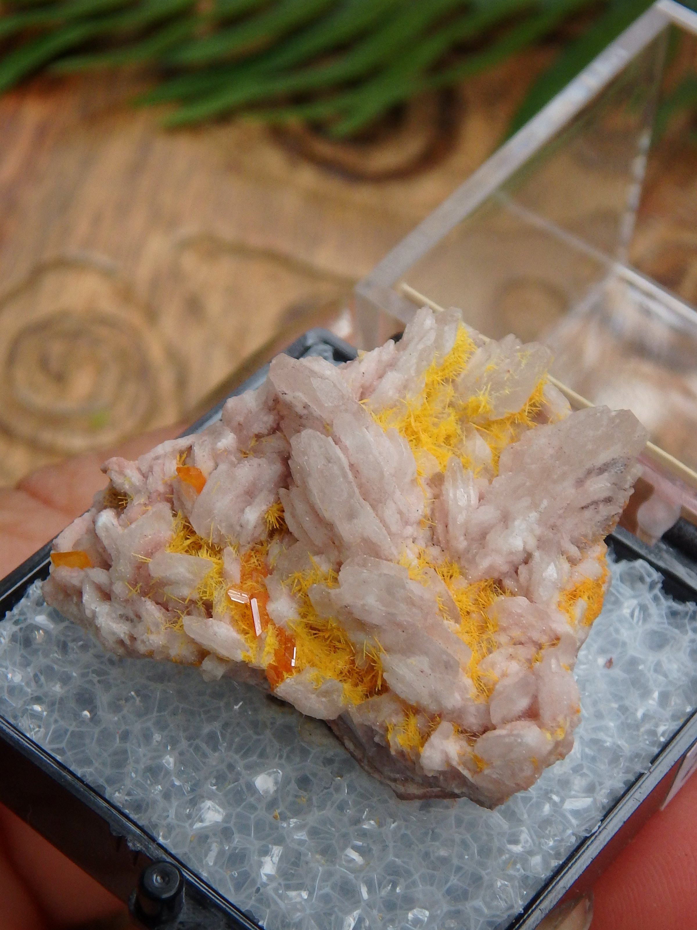 Electric Orange Wulfenite & Baryte, Mimetite Collectors Specimen in Box From Rowley Mine, Arizona - Earth Family Crystals