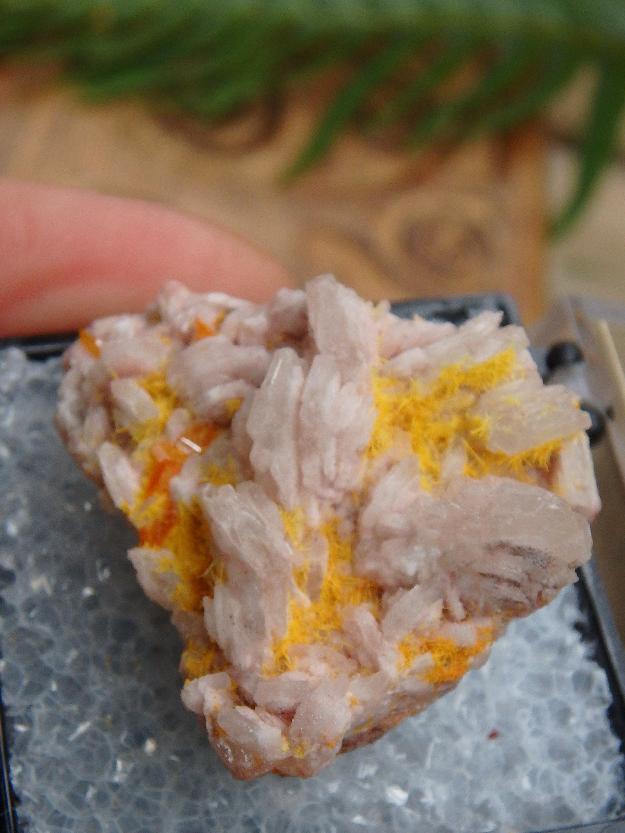 Electric Orange Wulfenite & Baryte, Mimetite Collectors Specimen in Box From Rowley Mine, Arizona - Earth Family Crystals