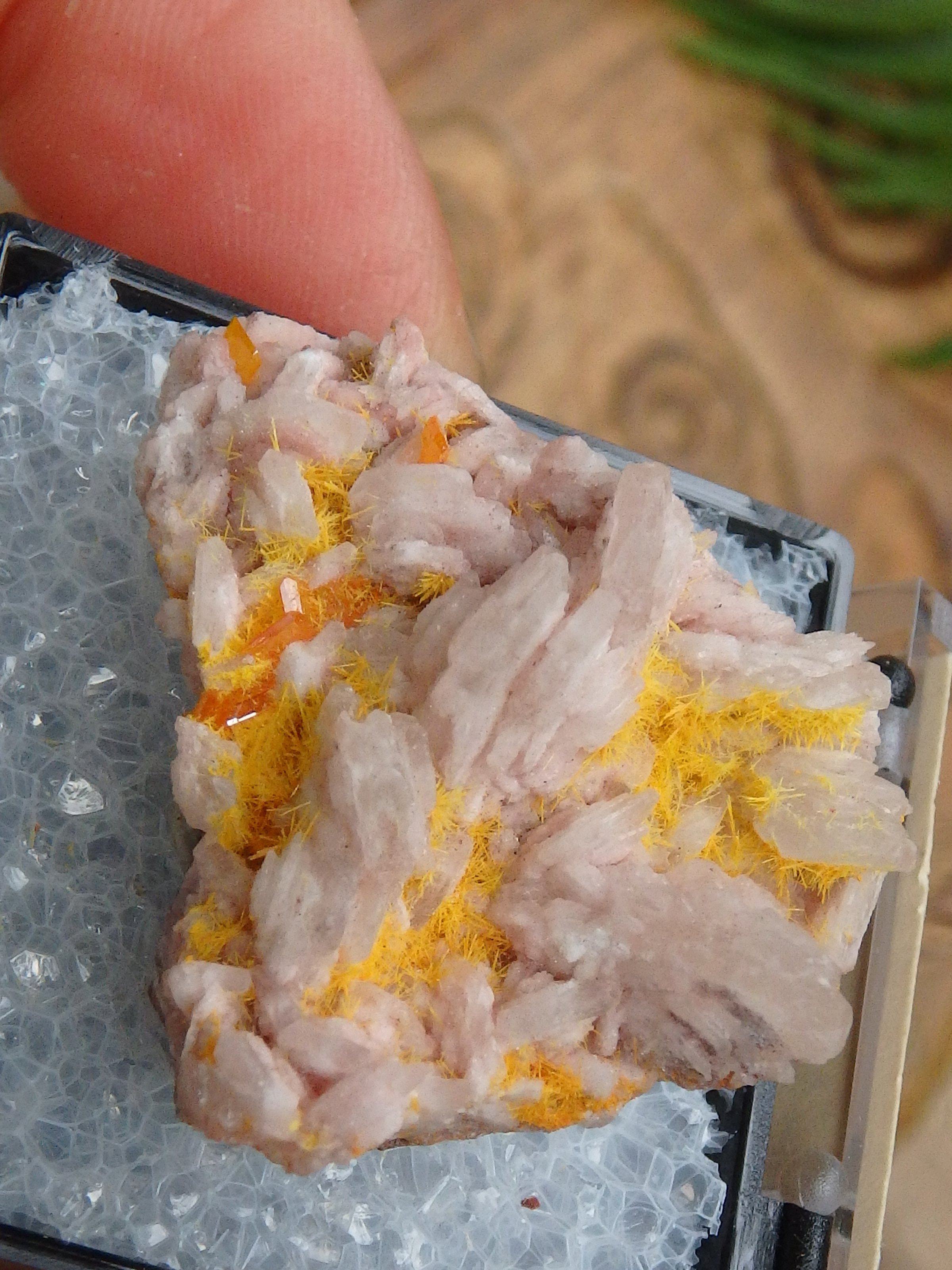 Electric Orange Wulfenite & Baryte, Mimetite Collectors Specimen in Box From Rowley Mine, Arizona - Earth Family Crystals