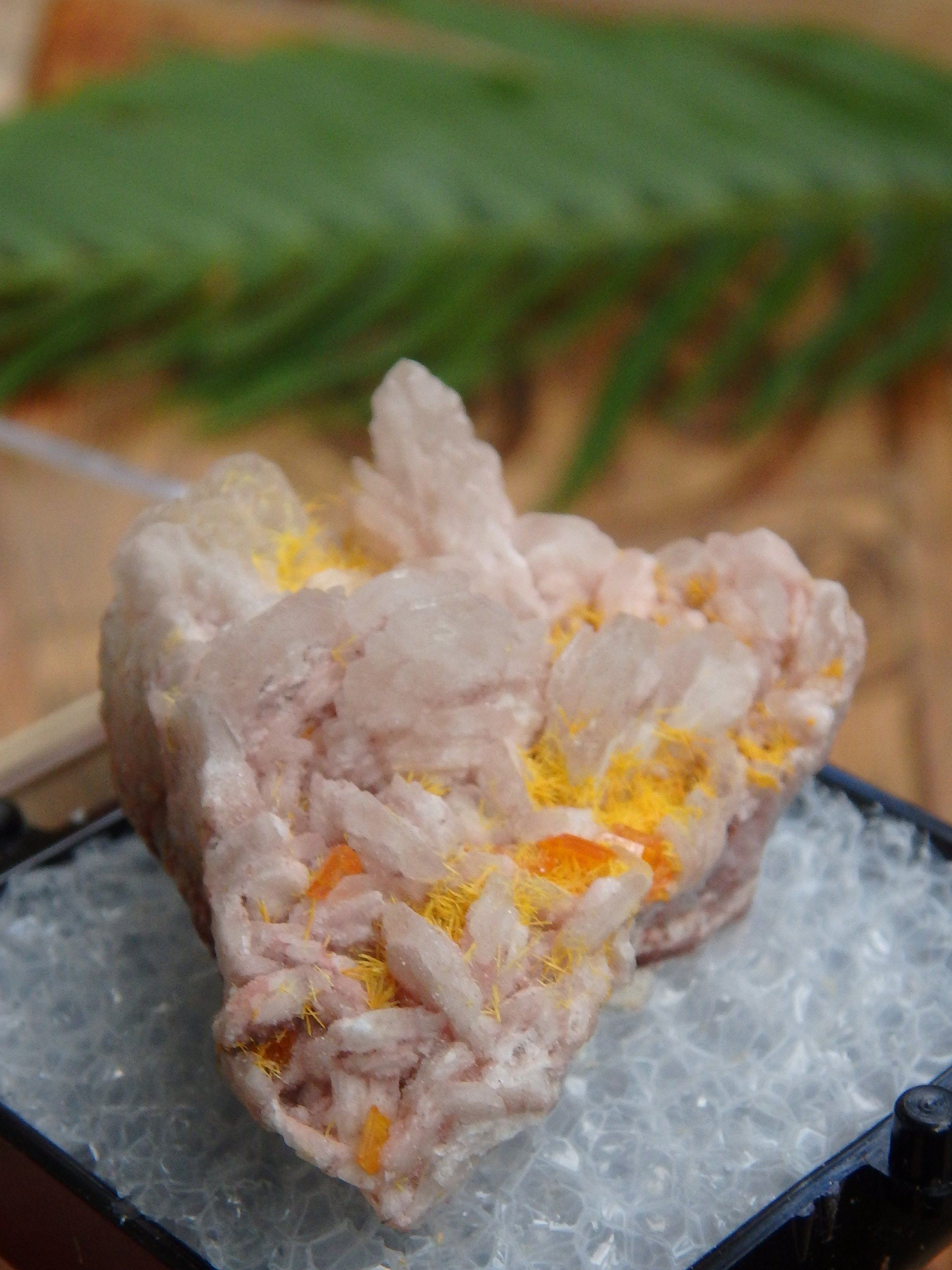 Electric Orange Wulfenite & Baryte, Mimetite Collectors Specimen in Box From Rowley Mine, Arizona - Earth Family Crystals