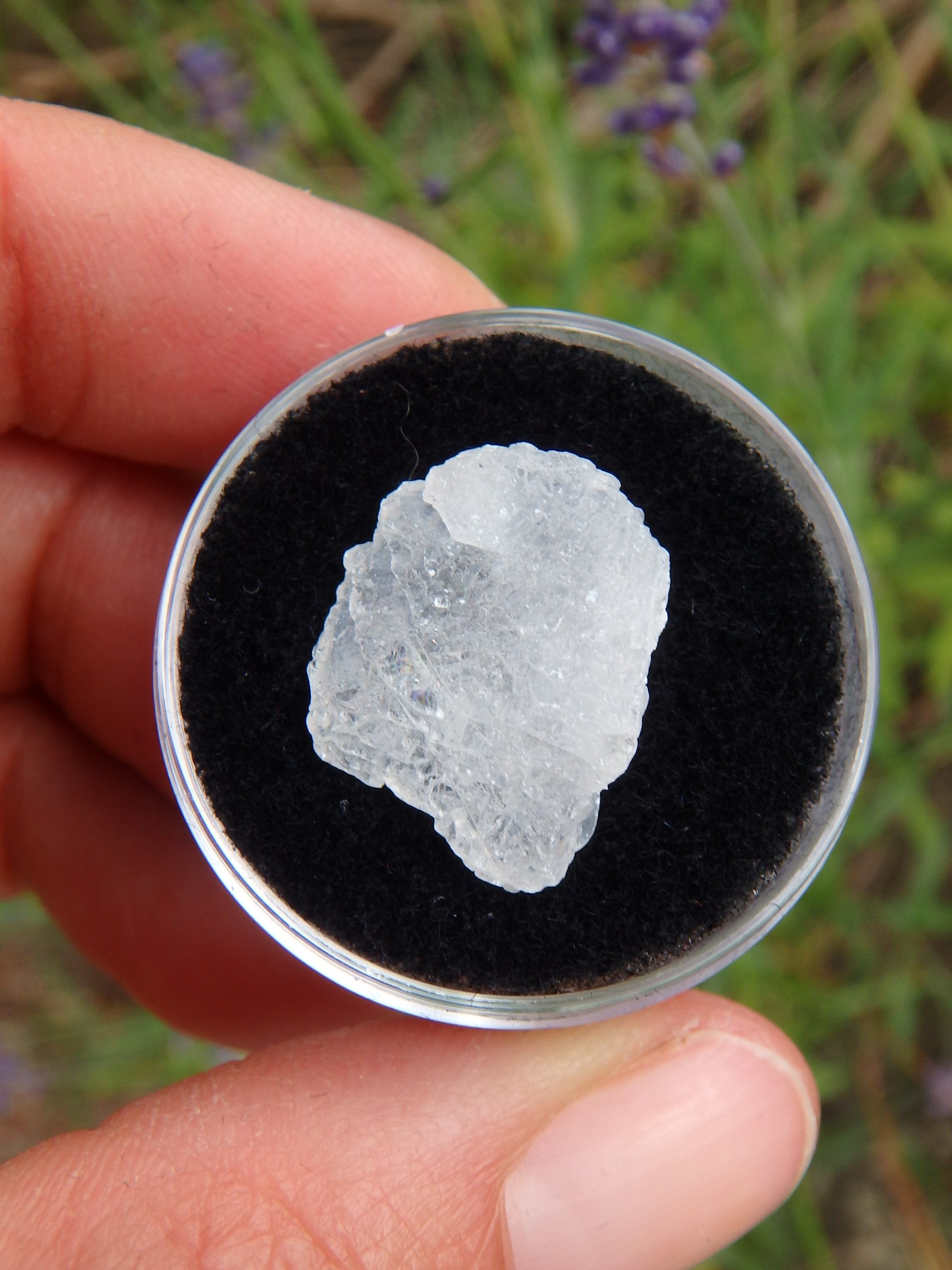 STUNNING ARIZONA ELESTIAL ANGEL CALCITE (AKA. WHITE MOLDAVITE) in Collectors Box 1