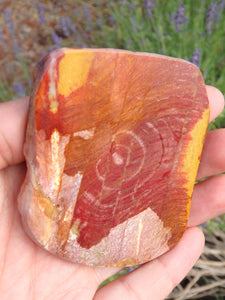 Pretty Mookaite Jasper Partially Polished Specimen From Australia - Earth Family Crystals