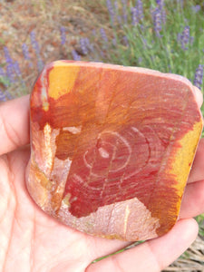 Pretty Mookaite Jasper Partially Polished Specimen From Australia - Earth Family Crystals