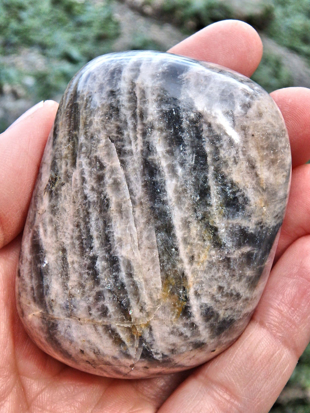 Creamy 2 Tone Black Moonstone Hand Held Specimen 1 - Earth Family Crystals