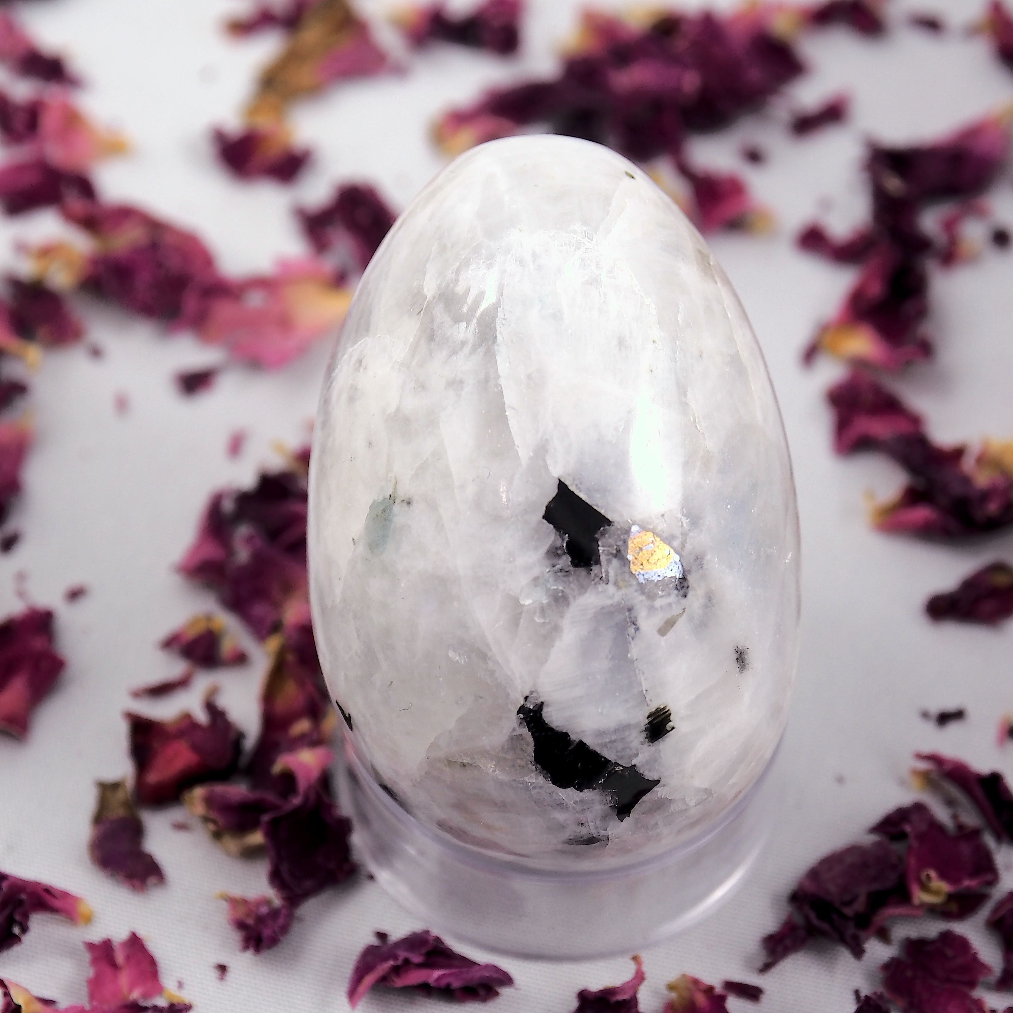 Fantastic Flashes Rainbow Moonstone & Black Tourmaline Egg Carving - Earth Family Crystals