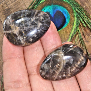 Set of 2 Black Moonstone Hand Held Palm Stones