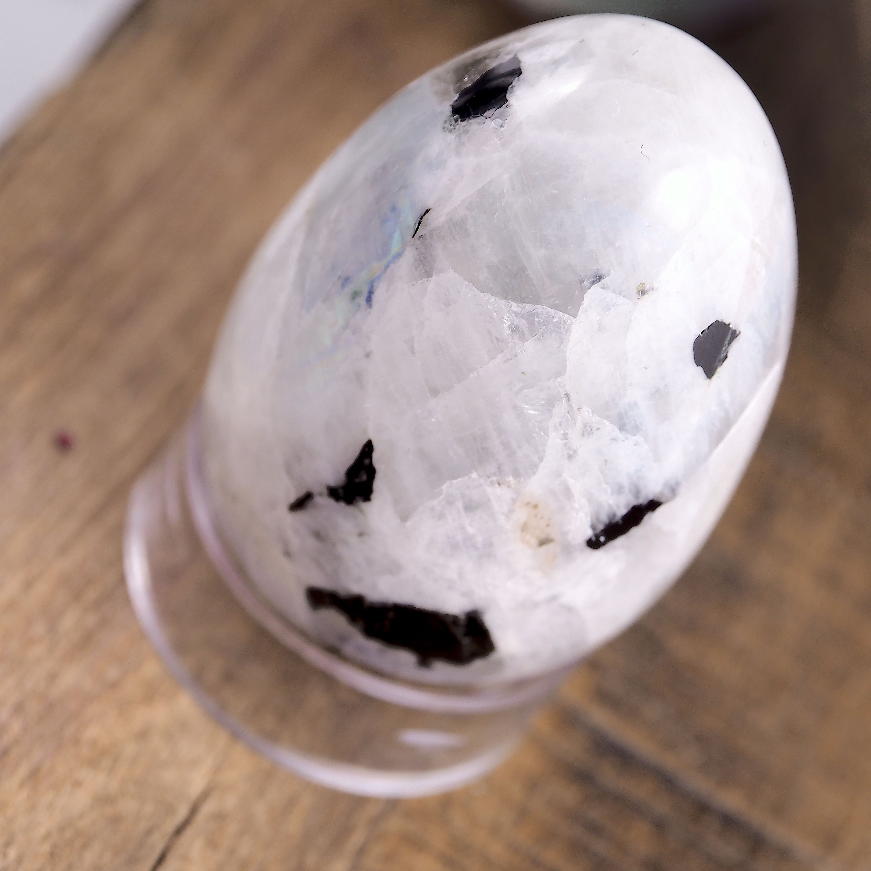 Fantastic Flashes Rainbow Moonstone & Black Tourmaline Egg Carving - Earth Family Crystals