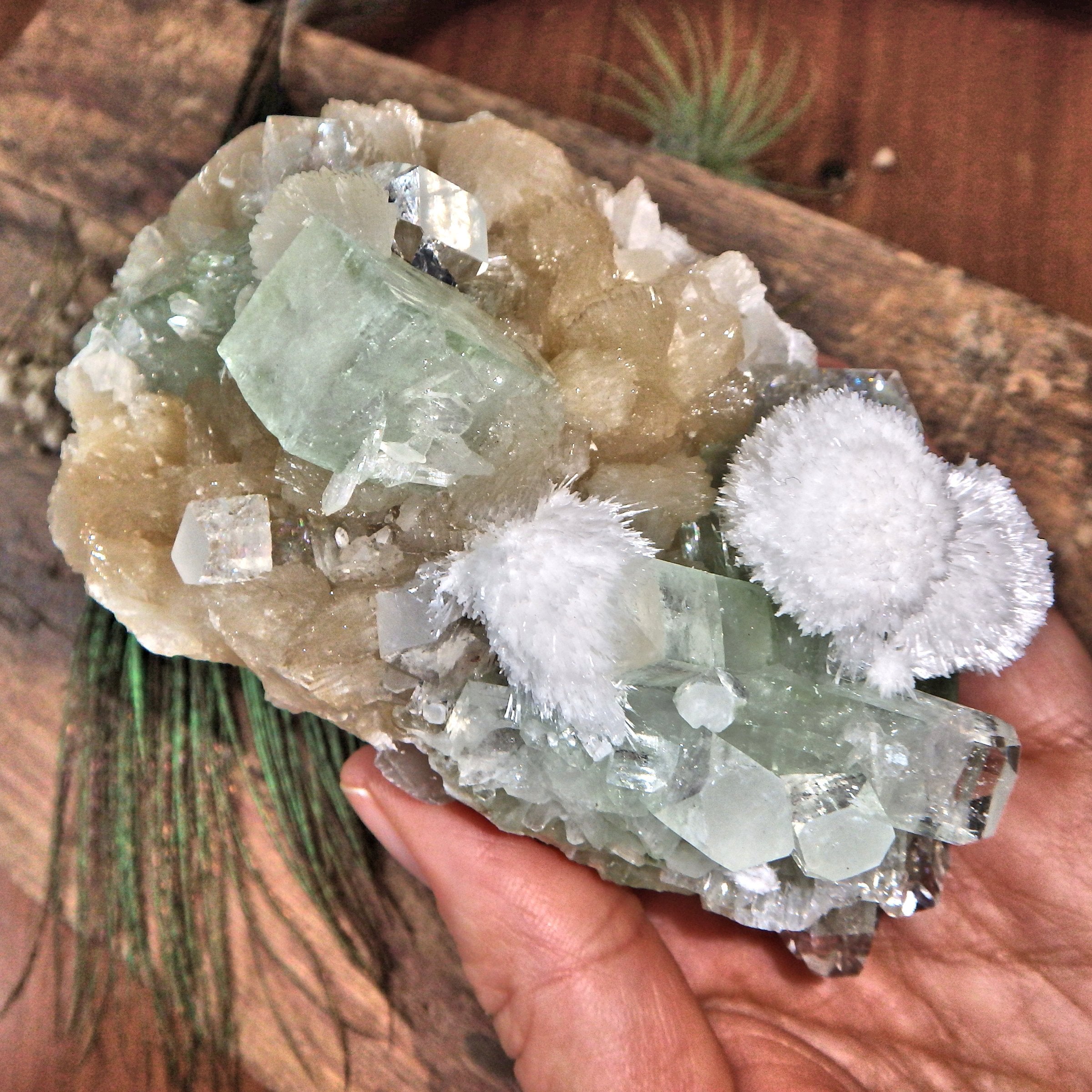 Rare Puff Balls of White Mordenite on Minty Green Apophyllite & on Pink Stilbite Matrix - Earth Family Crystals