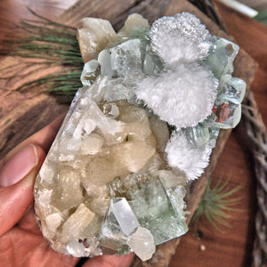 Rare Puff Balls of White Mordenite on Minty Green Apophyllite & on Pink Stilbite Matrix - Earth Family Crystals