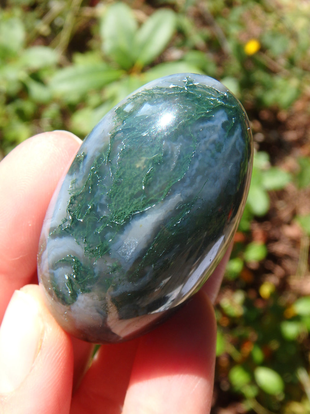 Forest Green & Cloudy Blue Moss Agate Egg Carving 1 - Earth Family Crystals