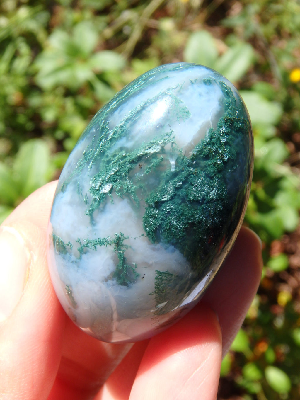Forest Green & Cloudy Blue Moss Agate Egg Carving 3 - Earth Family Crystals
