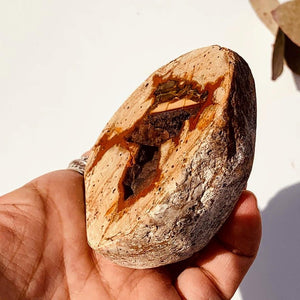 Unique Landscape Agate Geode Hand Collected From Australia Partially Polished - Earth Family Crystals