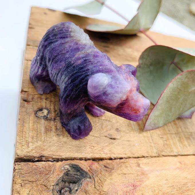 Adorable Chevron Amethyst Bear Display Carving - Earth Family Crystals