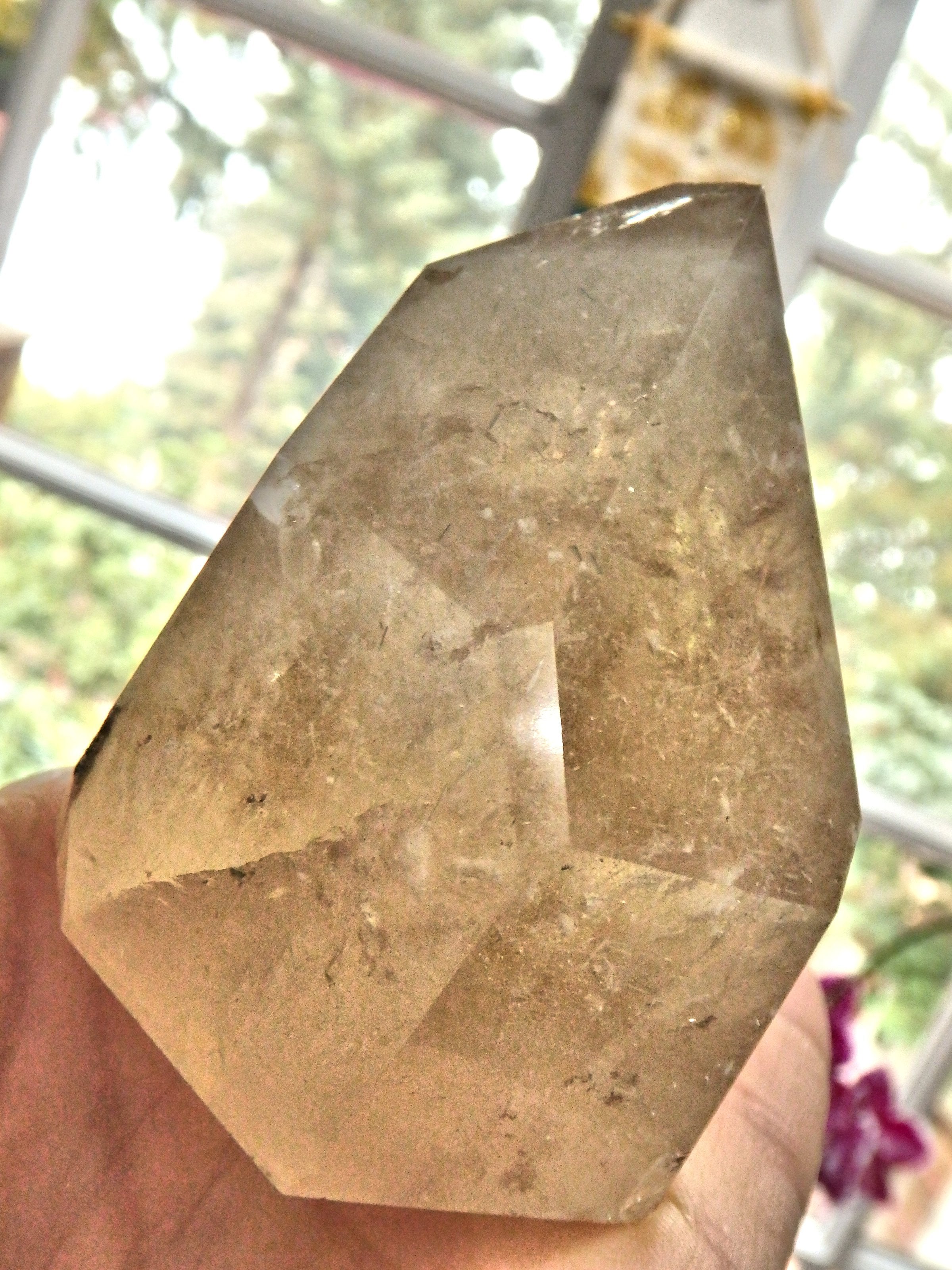 Phantom Included Natural Citrine Standing Display Generator With Black Hematite Blade Inclusion - Earth Family Crystals