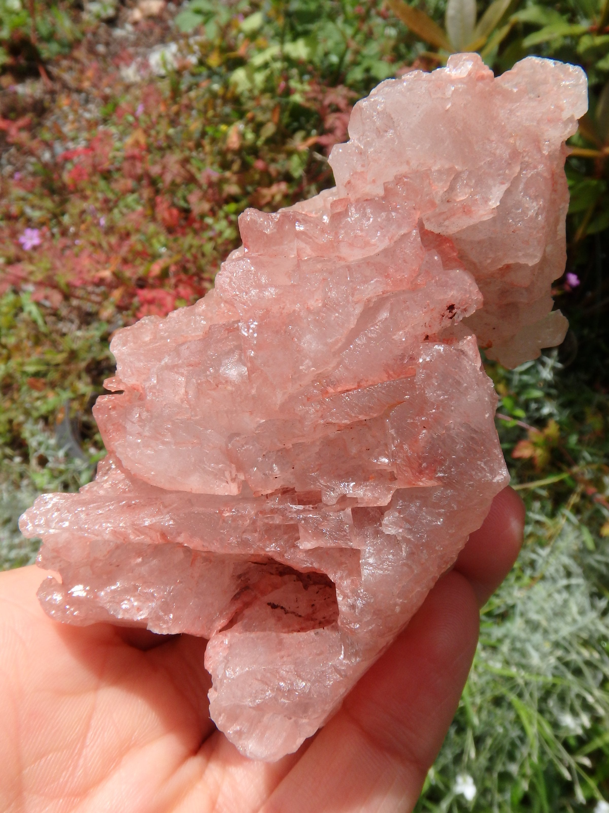 Lovely Large Chunky Pink Nirvana Himalayan Ice Quartz Specimen - Earth Family Crystals
