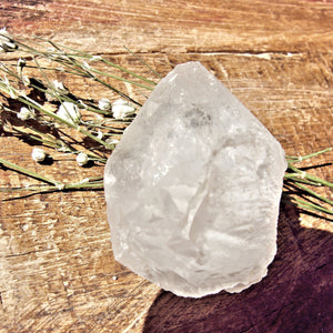 Clear Nirvana Himalayan Quartz Raw Hand Held Dainty Point Specimen - Earth Family Crystals