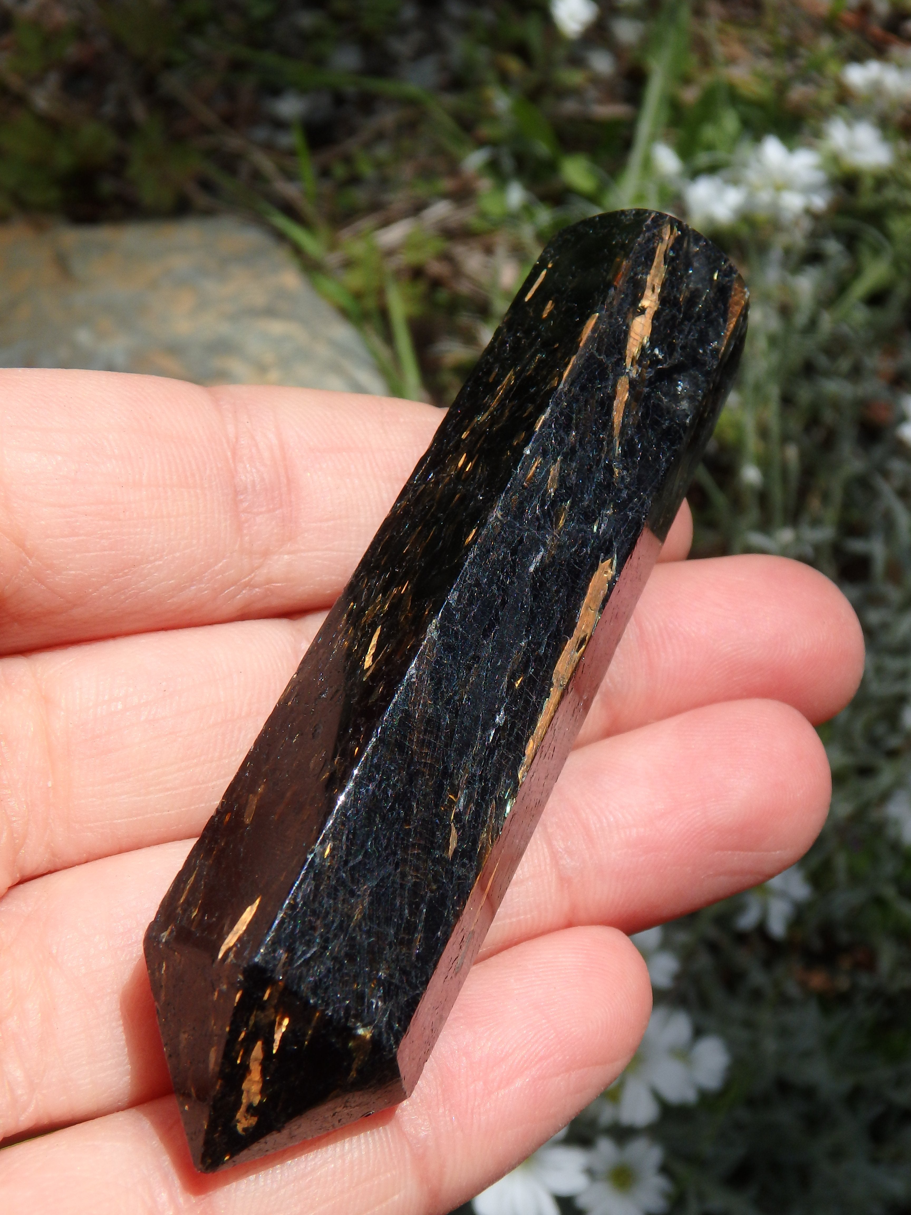 Sorcerer's Stone~ Greenland Nuummite Golden Flashes Wand - Earth Family Crystals